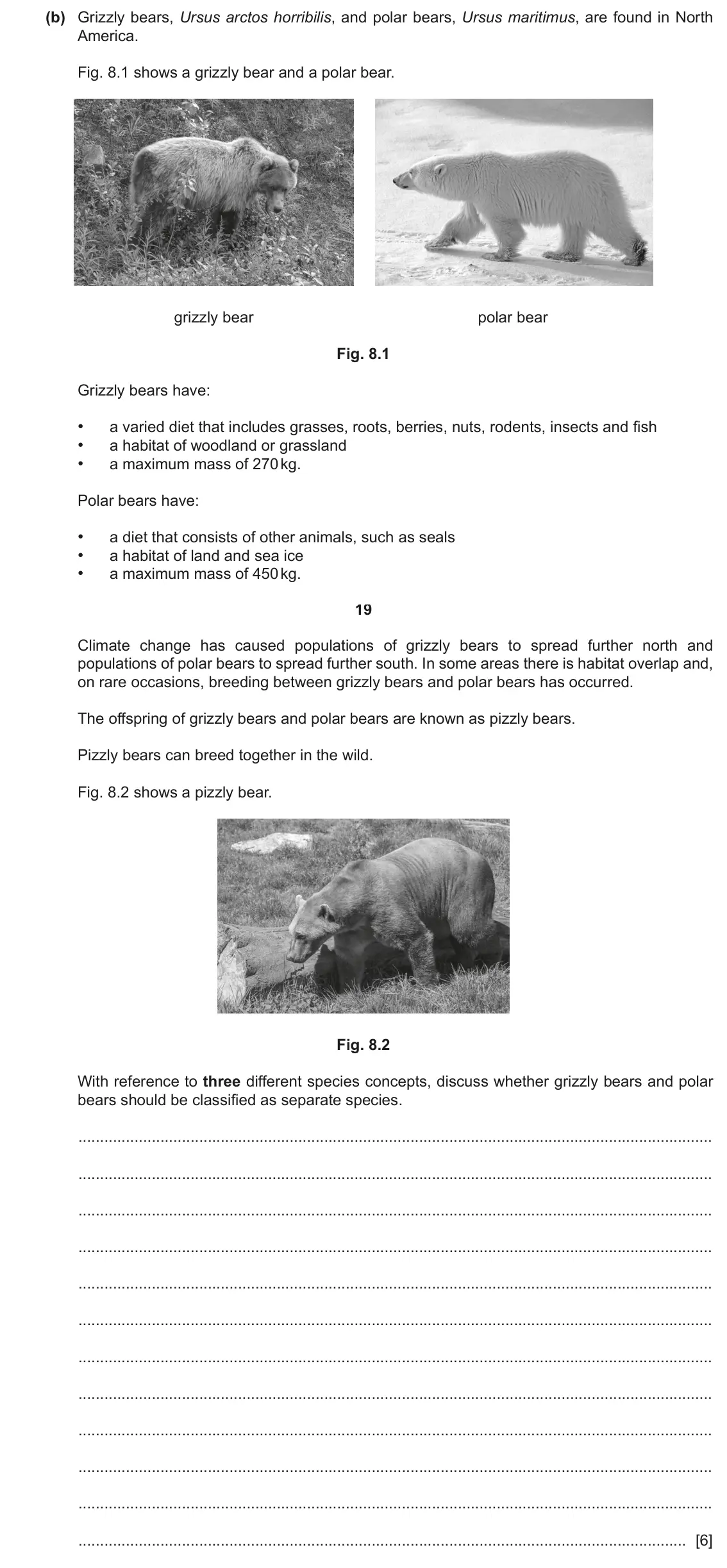 June 2024 Paper 4, question 8(b): Grizzly bears, Ursus arctos horribilis, and polar bears, Ursus maritimus, are found in North America. Fig. 8.1 shows a grizzly bear and a polar bear. grizzly be