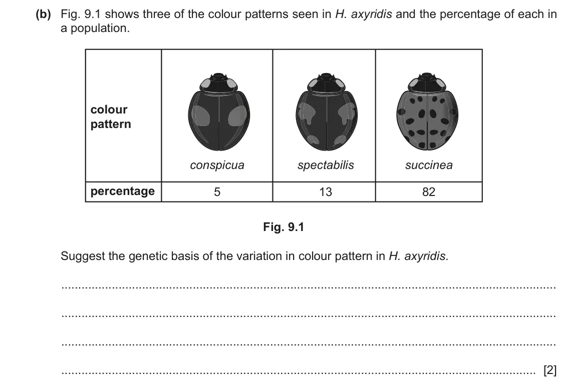 June 2024 Paper 4, question 9(b): Fig. 9.1 shows three of the colour patterns seen in H. axyridis and the percentage of each in a population. colour pattern conspicua spectabilis succinea percen