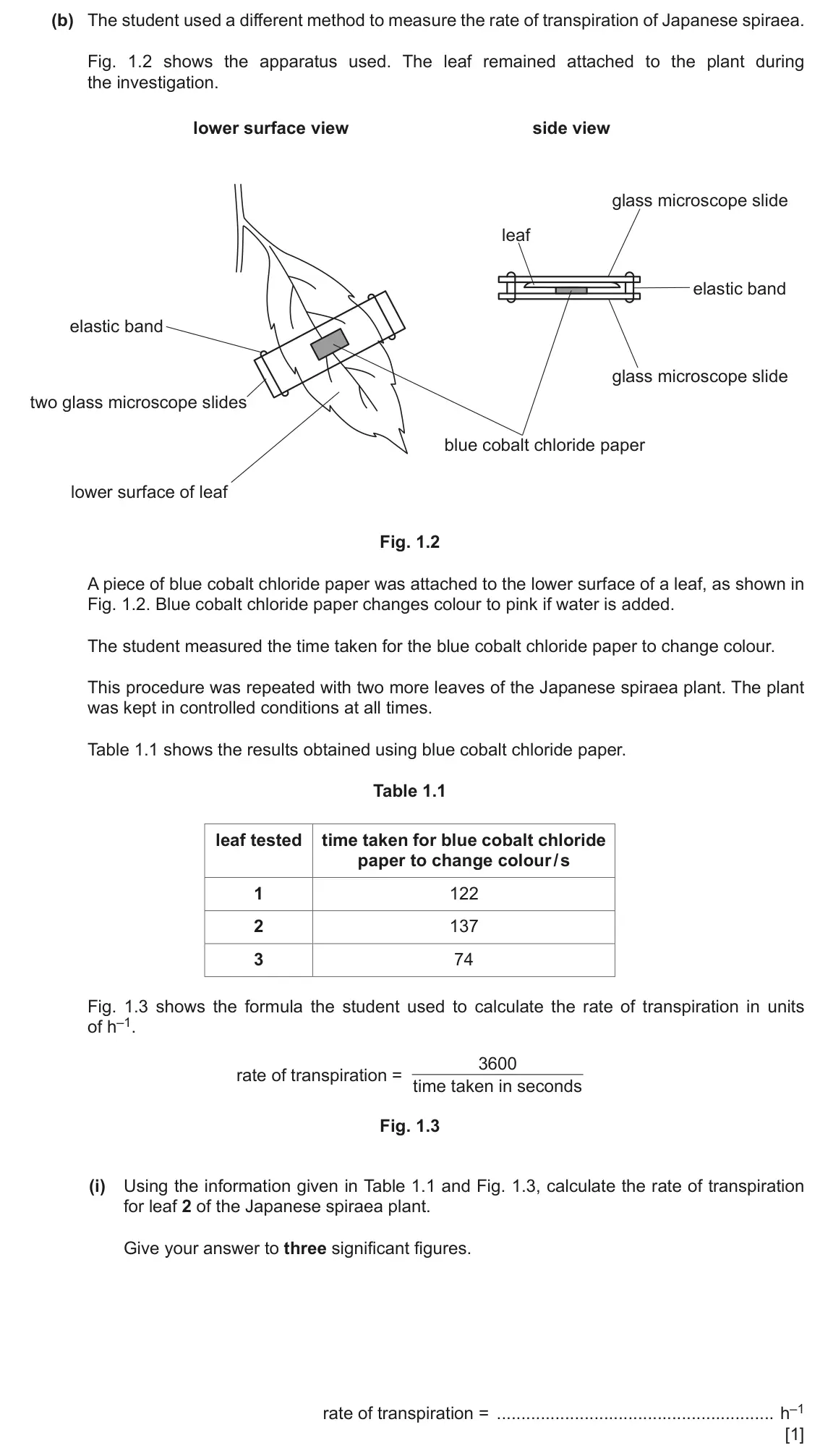June 2024 Paper 5, question 1(b)(i): The student used a different method to measure the rate of transpiration of Japanese spiraea. Fig. 1.2 shows the apparatus used. The leaf remained attached to t