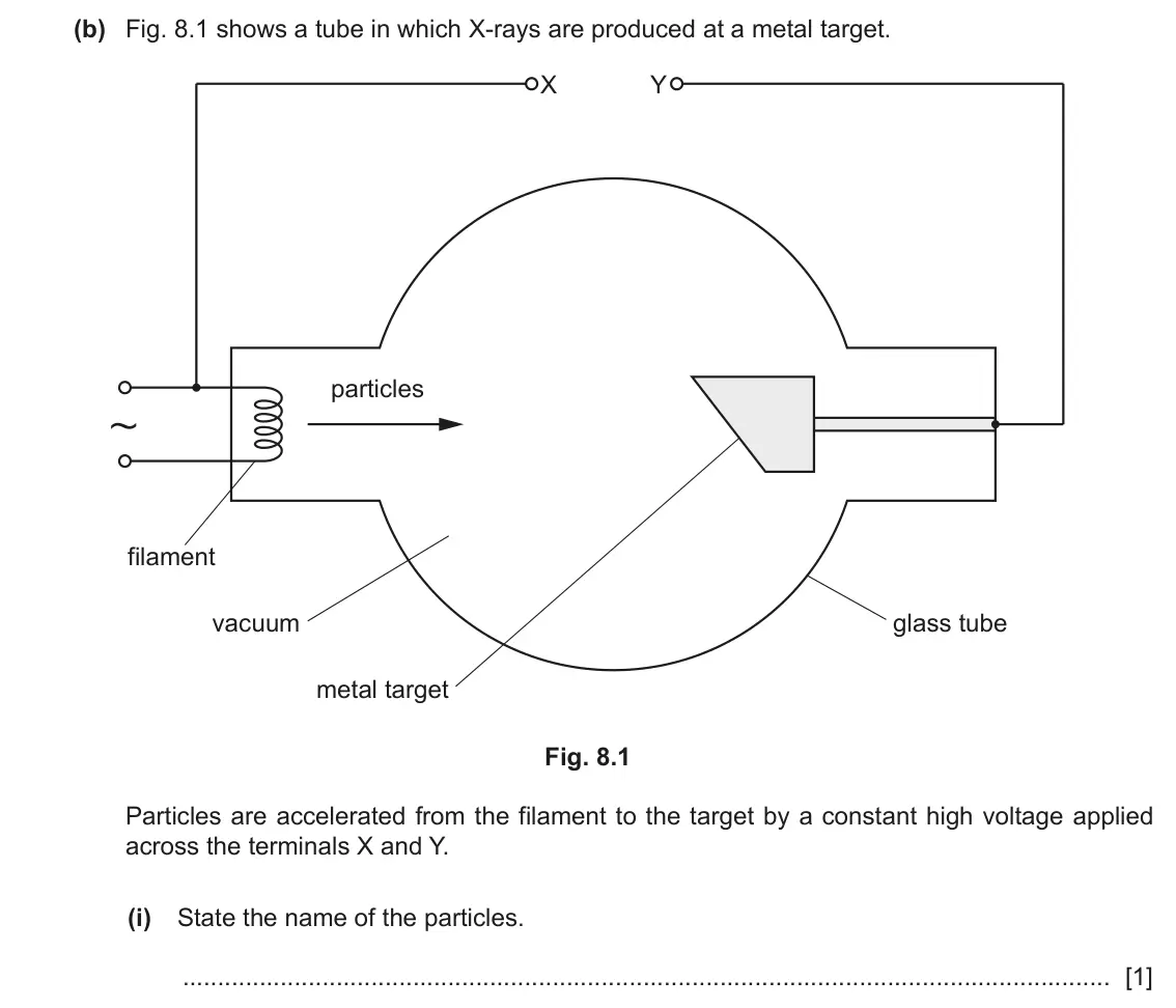June 2024 Paper 4, question 8(b)(i): State the name of the particles. [1]