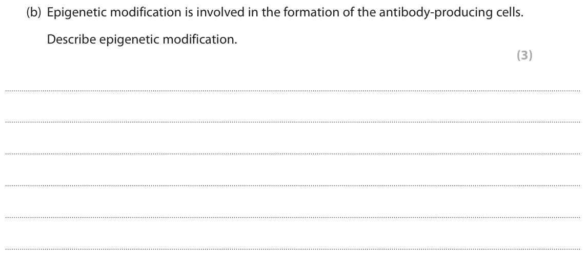 June 2017 Paper 1, question 9(b): Epigenetic modification is involved in the formation of the antibody-producing cells. Describe epigenetic modification. (3)