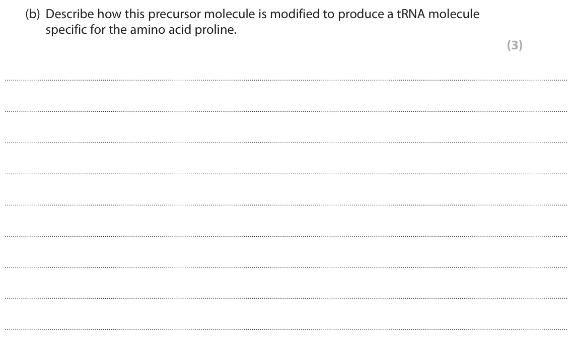 June 2018 Paper 1, question 2(b): Describe how this precursor molecule is modified to produce a tRNA molecule specific for the amino acid proline. (3)