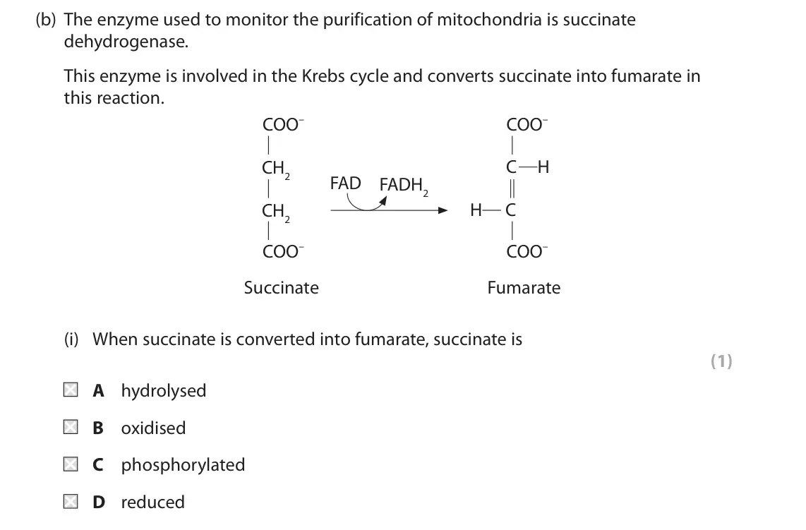 June 2018 Paper 1, question 4(b)(i): When succinate is converted into fumarate, succinate is (1) A hydrolysed B oxidised C phosphorylated D reduced