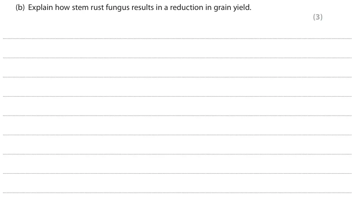 June 2019 Paper 1, question 3(b): Explain how stem rust fungus results in a reduction in grain yield. (3)