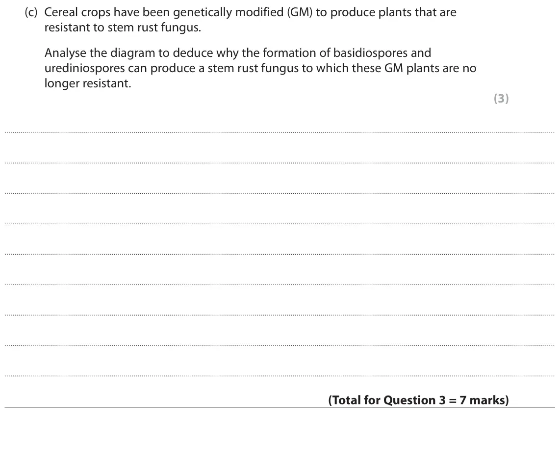 June 2019 Paper 1, question 3(c): Cereal crops have been genetically modified (GM) to produce plants that are resistant to stem rust fungus. Analyse the diagram to deduce why the formation of ba