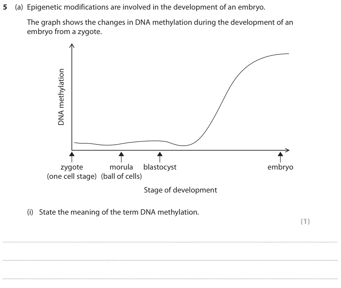 June 2019 Paper 1, question 5(a)(i): State the meaning of the term DNA methylation. (1)