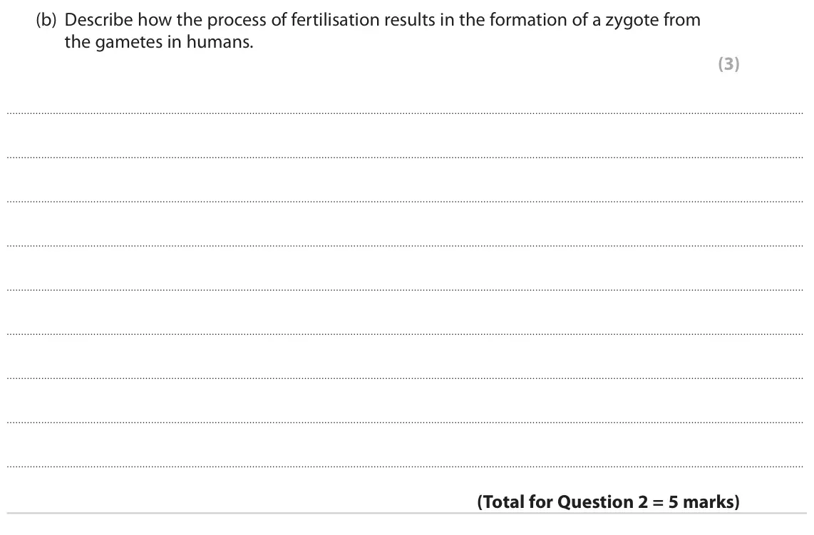 June 2022 Paper 1, question 2(b): Describe how the process of fertilisation results in the formation of a zygote from the gametes in humans. (3)