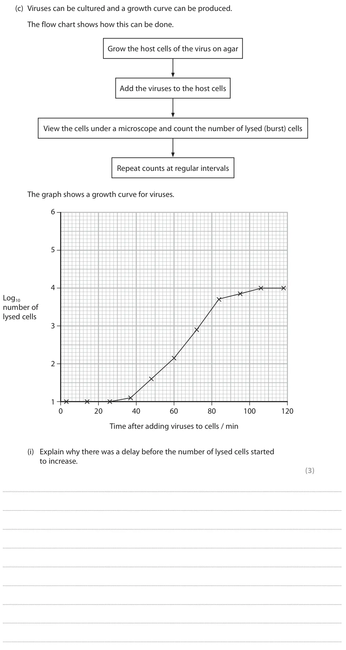 June 2022 Paper 1, question 4(c)(i): Explain why there was a delay before the number of lysed cells started to increase. (3)