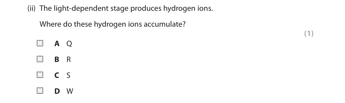 June 2022 Paper 1, question 5(a)(ii): The light‑dependent stage produces hydrogen ions. Where do these hydrogen ions accumulate? (1) A Q B R C S D W