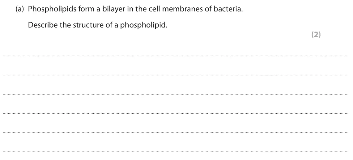 June 2022 Paper 1, question 6(a): Phospholipids form a bilayer in the cell membranes of bacteria. Describe the structure of a phospholipid. (2)
