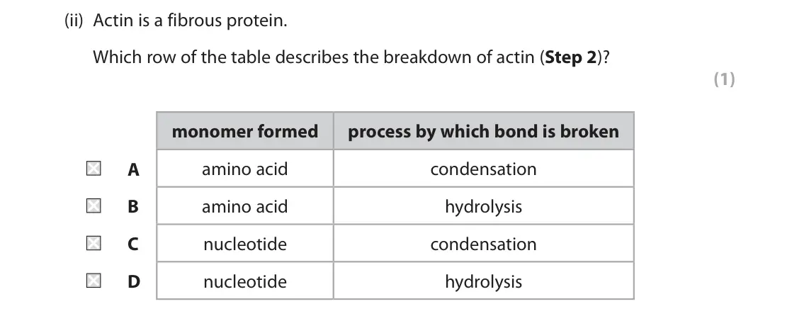 June 2022 Paper 1, question 7(a)(ii): Actin is a fibrous protein. Which row of the table describes the breakdown of actin (Step 2)? (1) monomer formed process by which bond is broken A amino acid co