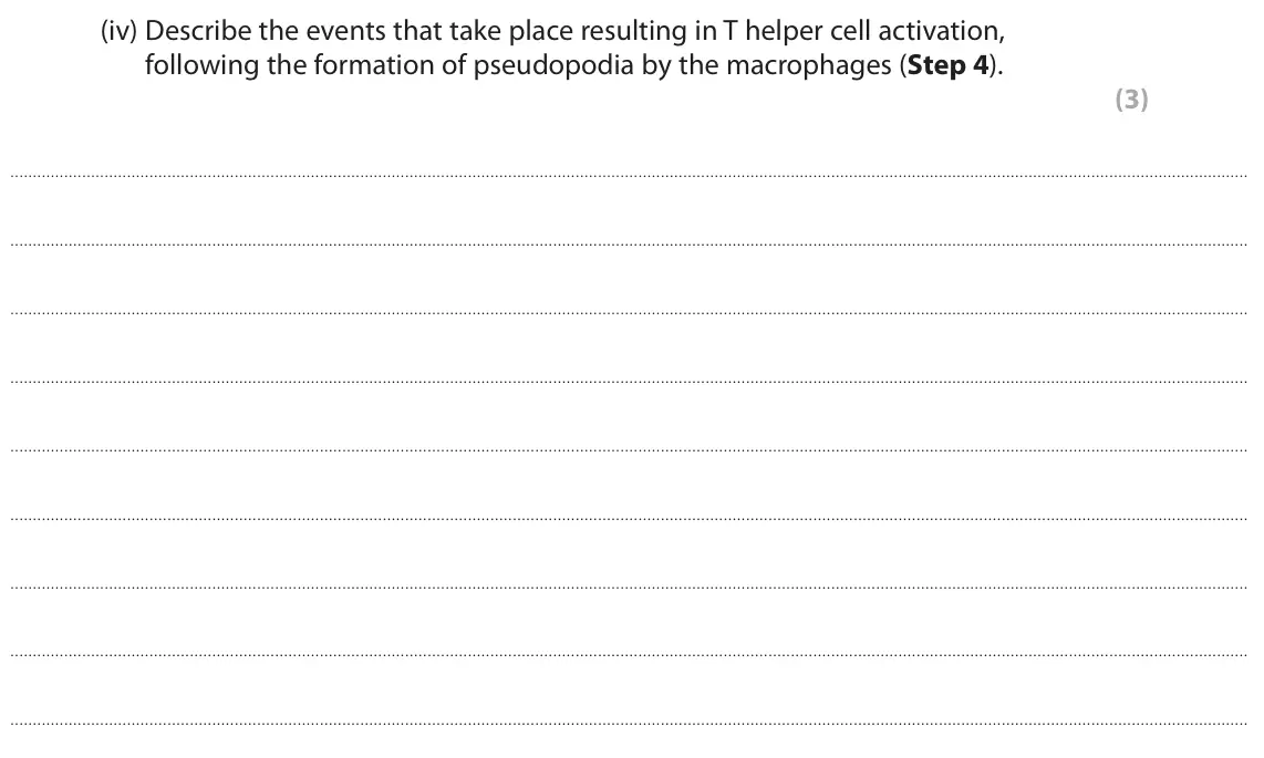 June 2022 Paper 1, question 7(a)(iv): Describe the events that take place resulting in T helper cell activation, following the formation of pseudopodia by the macrophages (Step 4). (3)