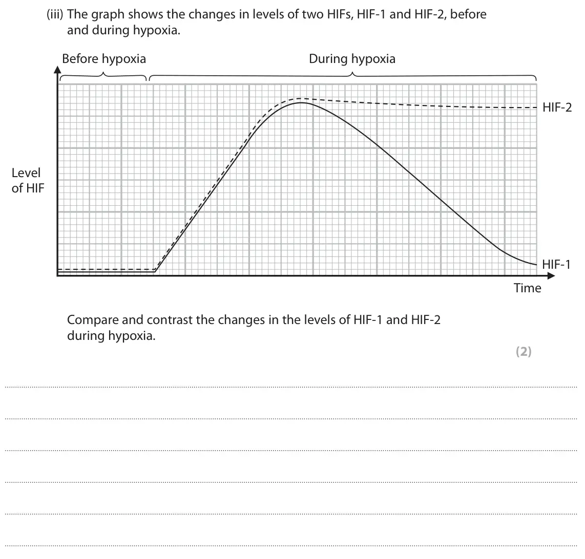 June 2022 Paper 1, question 8(b)(iii): The graph shows the changes in levels of two HIFs, HIF‑1 and HIF‑2, before and during hypoxia. Before hypoxia During hypoxia HIF‑2 Level of HIF HIF‑1 Time Compa