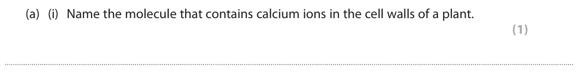 June 2023 Paper 1, question 1(a)(i): Name the molecule that contains calcium ions in the cell walls of a plant. (1)