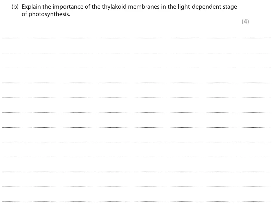 June 2023 Paper 1, question 6(b): Explain the importance of the thylakoid membranes in the light‑dependent stage of photosynthesis. (4)