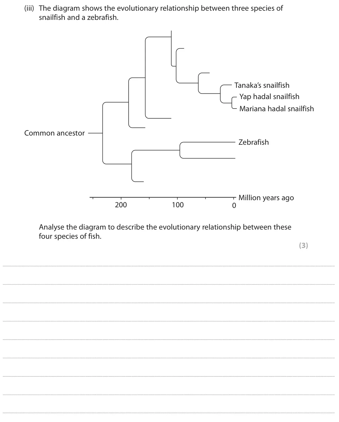 June 2023 Paper 1, question 7(b)(iii): The diagram shows the evolutionary relationship between three species of snailfish and a zebrafish. Tanaka’s snailfish Yap hadal snailfish Mariana hadal snailfi