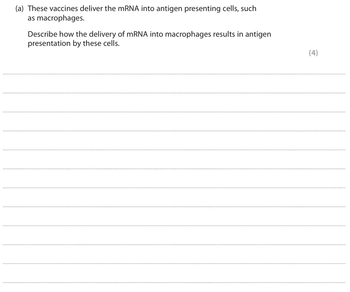 June 2023 Paper 1, question 8(a): These vaccines deliver the mRNA into antigen presenting cells, such as macrophages. Describe how the delivery of mRNA into macrophages results in antigen presen
