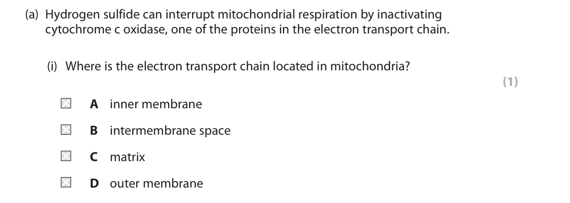 June 2023 Paper 1, question 9(a)(i): Where is the electron transport chain located in mitochondria? (1) A inner membrane B intermembrane space C matrix D outer membrane