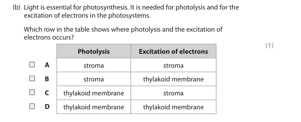 June 2024 Paper 1, question 4(b): Light is essential for photosynthesis. It is needed for photolysis and for the excitation of electrons in the photosystems. Which row in the table shows where p