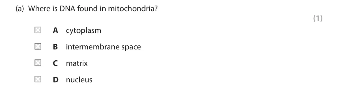 June 2024 Paper 1, question 6(a): Where is DNA found in mitochondria? (1) A cytoplasm B intermembrane space C matrix D nucleus