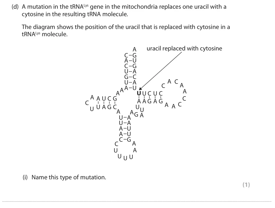 June 2024 Paper 1, question 6(d)(i): Name this type of mutation. (1)