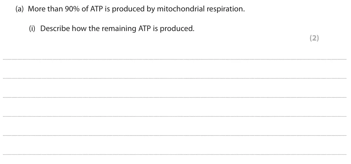 June 2024 Paper 1, question 7(a)(i): Describe how the remaining ATP is produced. (2)