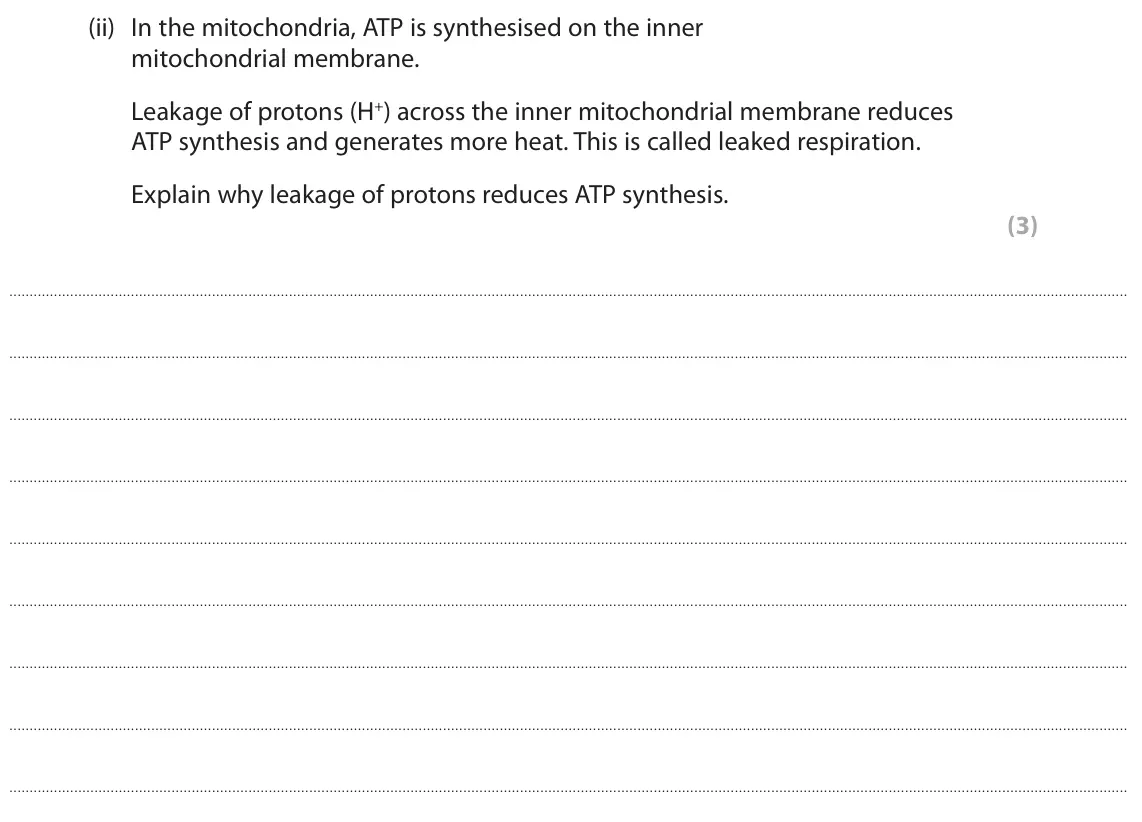 June 2024 Paper 1, question 7(a)(ii): In the mitochondria, ATP is synthesised on the inner mitochondrial membrane. Leakage of protons (H+) across the inner mitochondrial membrane reduces ATP synthes