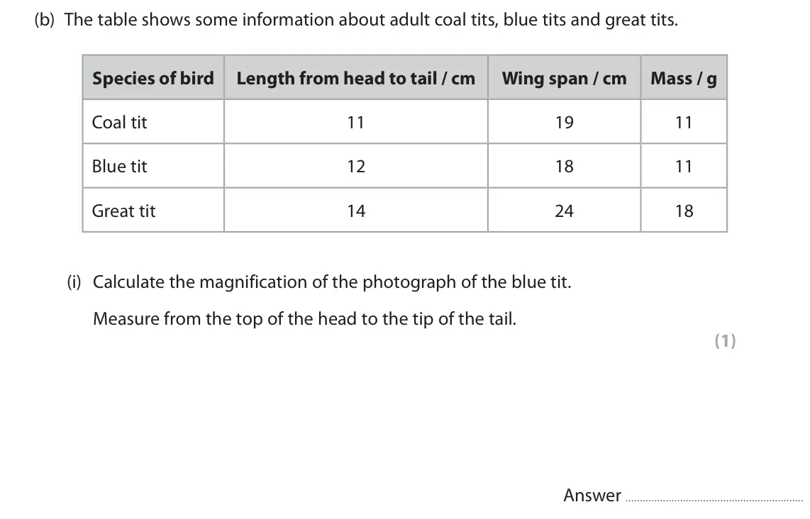 June 2024 Paper 1, question 7(b)(i): Calculate the magnification of the photograph of the blue tit. Measure from the top of the head to the tip of the tail. (1) Answer