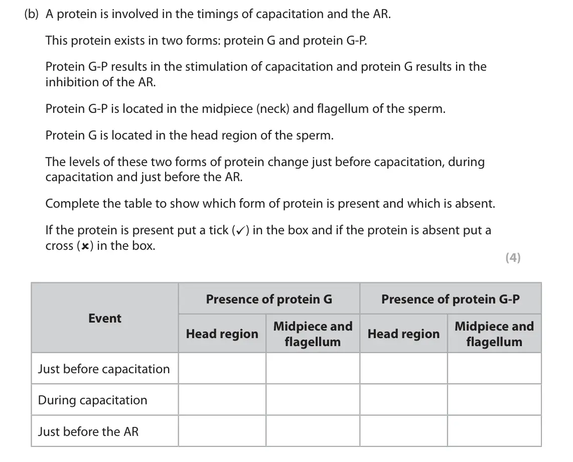 June 2024 Paper 1, question 8(b): A protein is involved in the timings of capacitation and the AR. This protein exists in two forms: protein G and protein G‑P. Protein G‑P results in the stimula