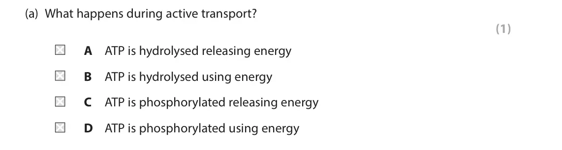 June 2025 Paper 1, question 1(a): What happens during active transport? (1) A ATP is hydrolysed releasing energy B ATP is hydrolysed using energy C ATP is phosphorylated releasing energy D ATP i