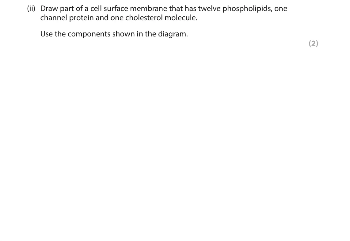 June 2025 Paper 1, question 4(a)(ii): Draw part of a cell surface membrane that has twelve phospholipids, one channel protein and one cholesterol molecule. Use the components shown in the diagram. (
