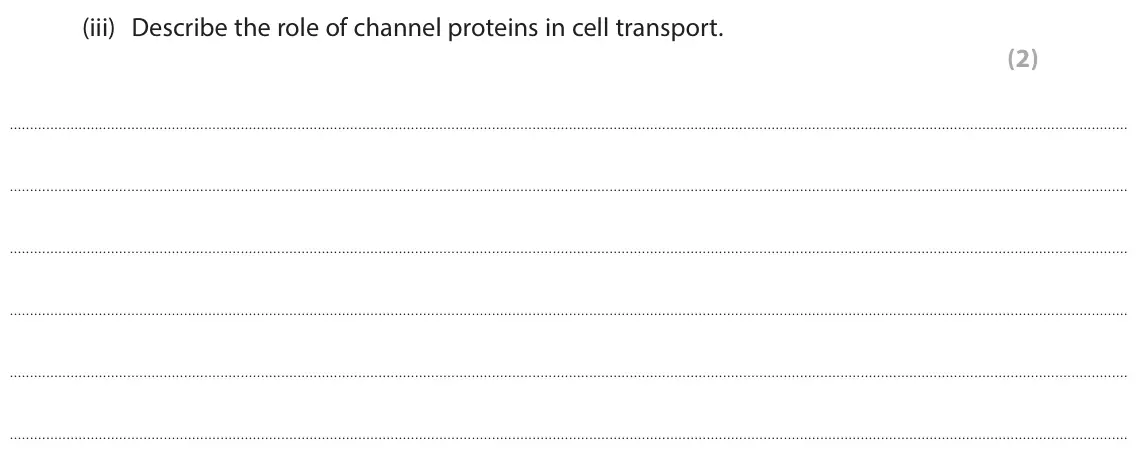 June 2025 Paper 1, question 4(a)(iii): Describe the role of channel proteins in cell transport. (2)