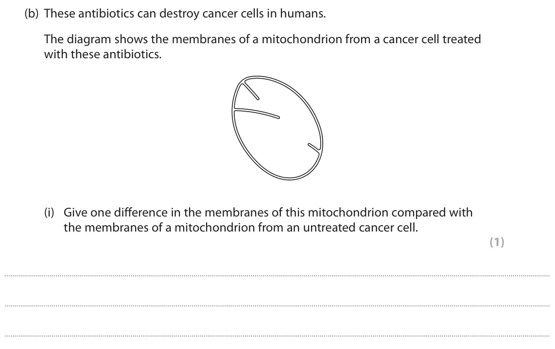 November 2021 Paper 1, question 5(b)(i): Give one difference in the membranes of this mitochondrion compared with the membranes of a mitochondrion from an untreated cancer cell. (1)