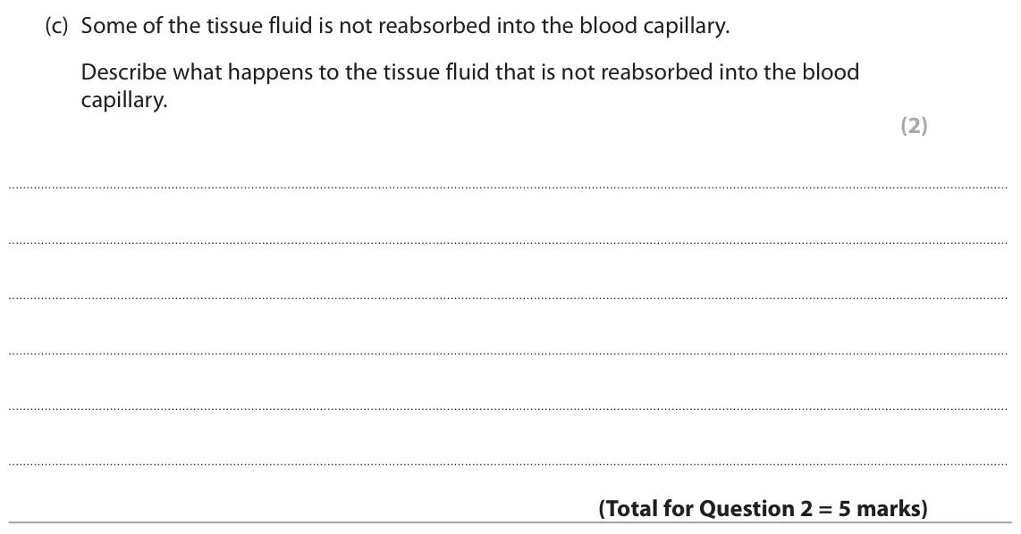 October 2020 Paper 1, question 2(c): Some of the tissue fluid is not reabsorbed into the blood capillary. Describe what happens to the tissue fluid that is not reabsorbed into the blood capillary.