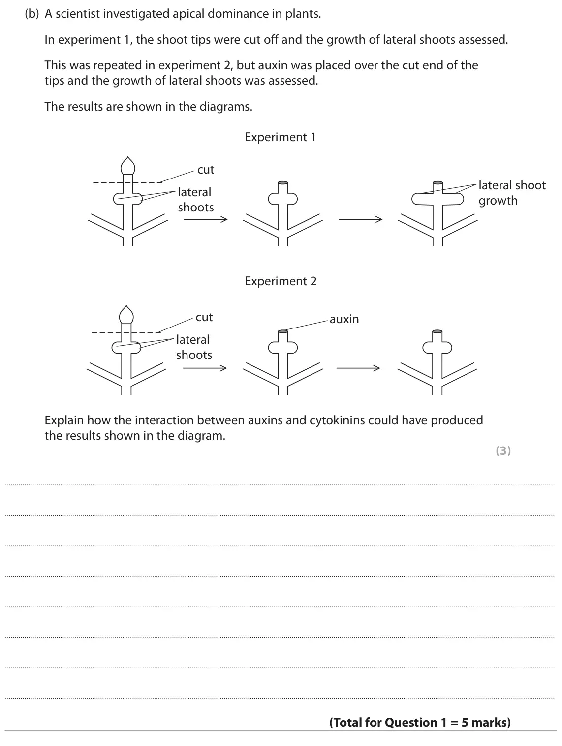 June 2017 Paper 2, question 1(b): A scientist investigated apical dominance in plants. In experiment 1, the shoot tips were cut off and the growth of lateral shoots assessed. This was repeated i