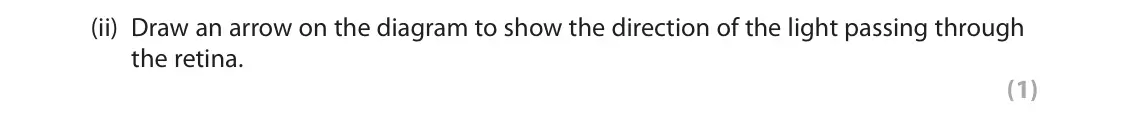 June 2017 Paper 2, question 4(a)(ii): Draw an arrow on the diagram to show the direction of the light passing through the retina. (1)