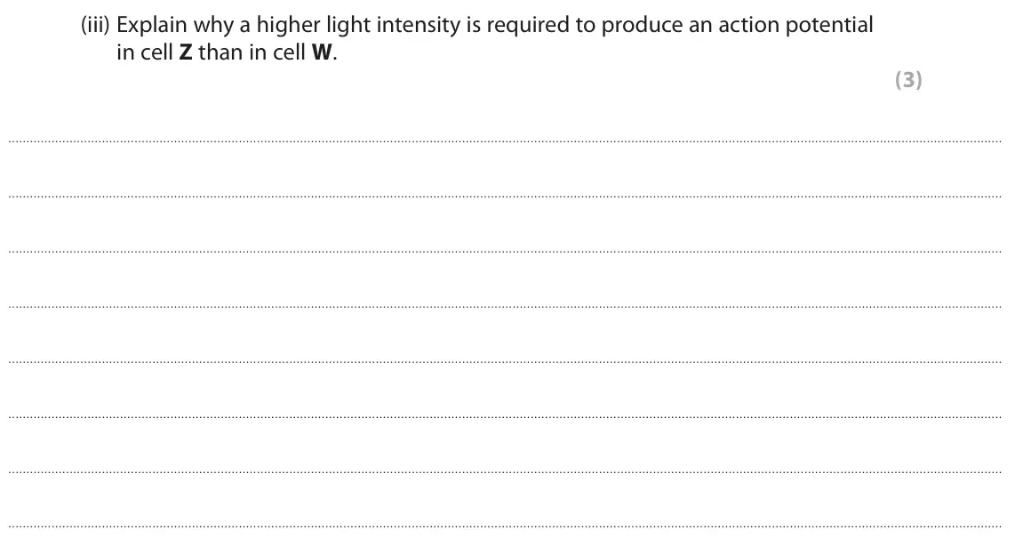 June 2017 Paper 2, question 4(a)(iii): Explain why a higher light intensity is required to produce an action potential in cell Z than in cell W. (3)