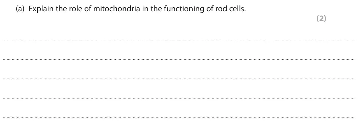 June 2018 Paper 2, question 3(a): Explain the role of mitochondria in the functioning of rod cells. (2)