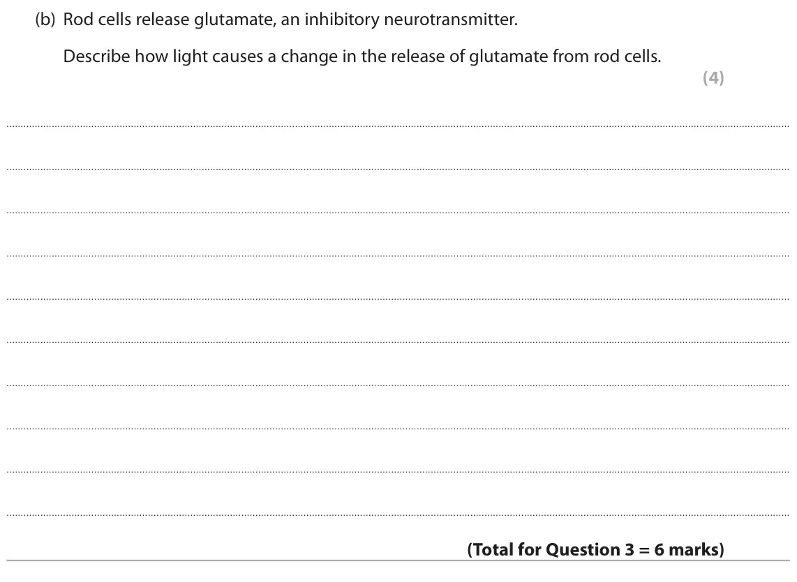 June 2018 Paper 2, question 3(b): Rod cells release glutamate, an inhibitory neurotransmitter. Describe how light causes a change in the release of glutamate from rod cells. (4)