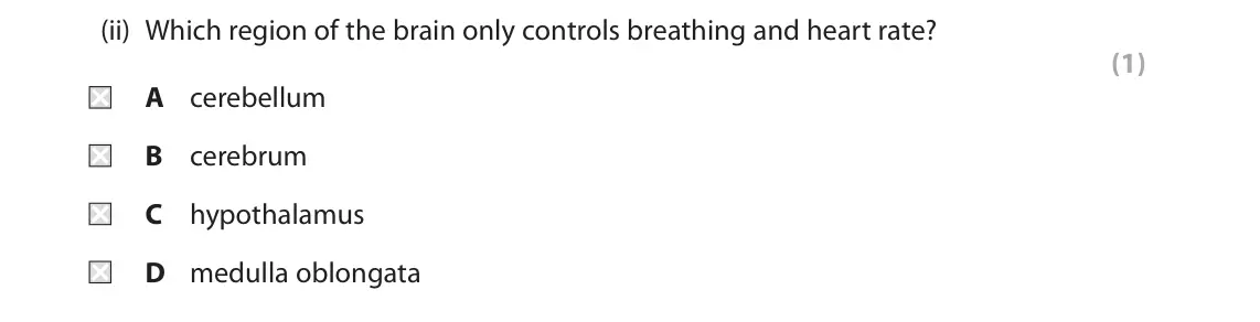 June 2019 Paper 2, question 2(a)(ii): Which region of the brain only controls breathing and heart rate? (1) A cerebellum B cerebrum C hypothalamus D medulla oblongata