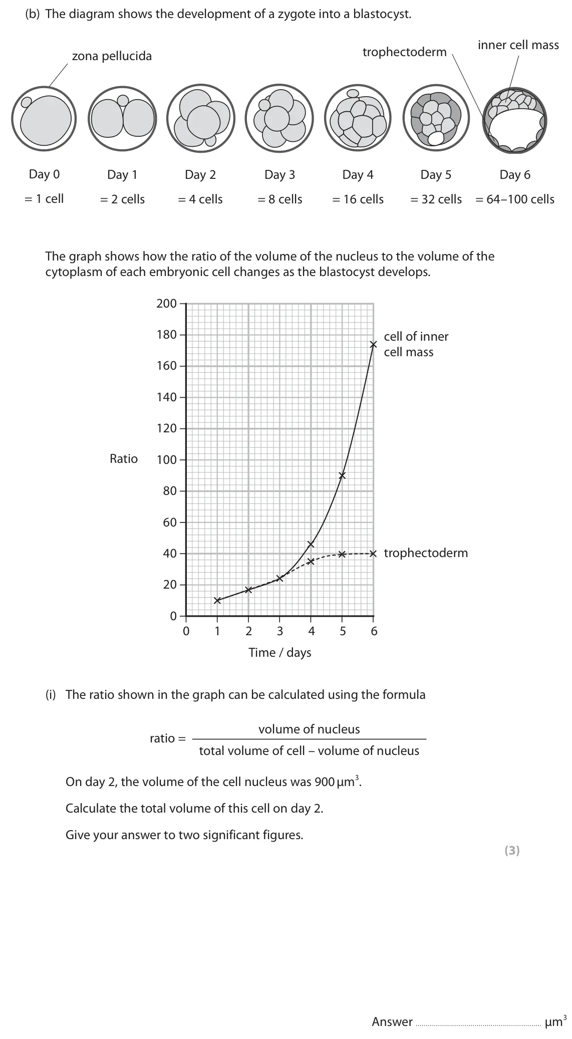 June 2022 Paper 2, question 3(b)(i): The ratio shown in the graph can be calculated using the formula volume of nucleus ratio = total volume of cell – volume of nucleus On day 2, the volume of the