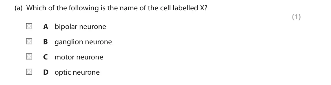 June 2022 Paper 2, question 5(a): Which of the following is the name of the cell labelled X? (1) A bipolar neurone B ganglion neurone C motor neurone D optic neurone