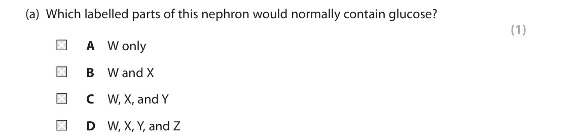 June 2022 Paper 2, question 6(a): Which labelled parts of this nephron would normally contain glucose? (1) A W only B W and X C W, X, and Y D W, X, Y, and Z
