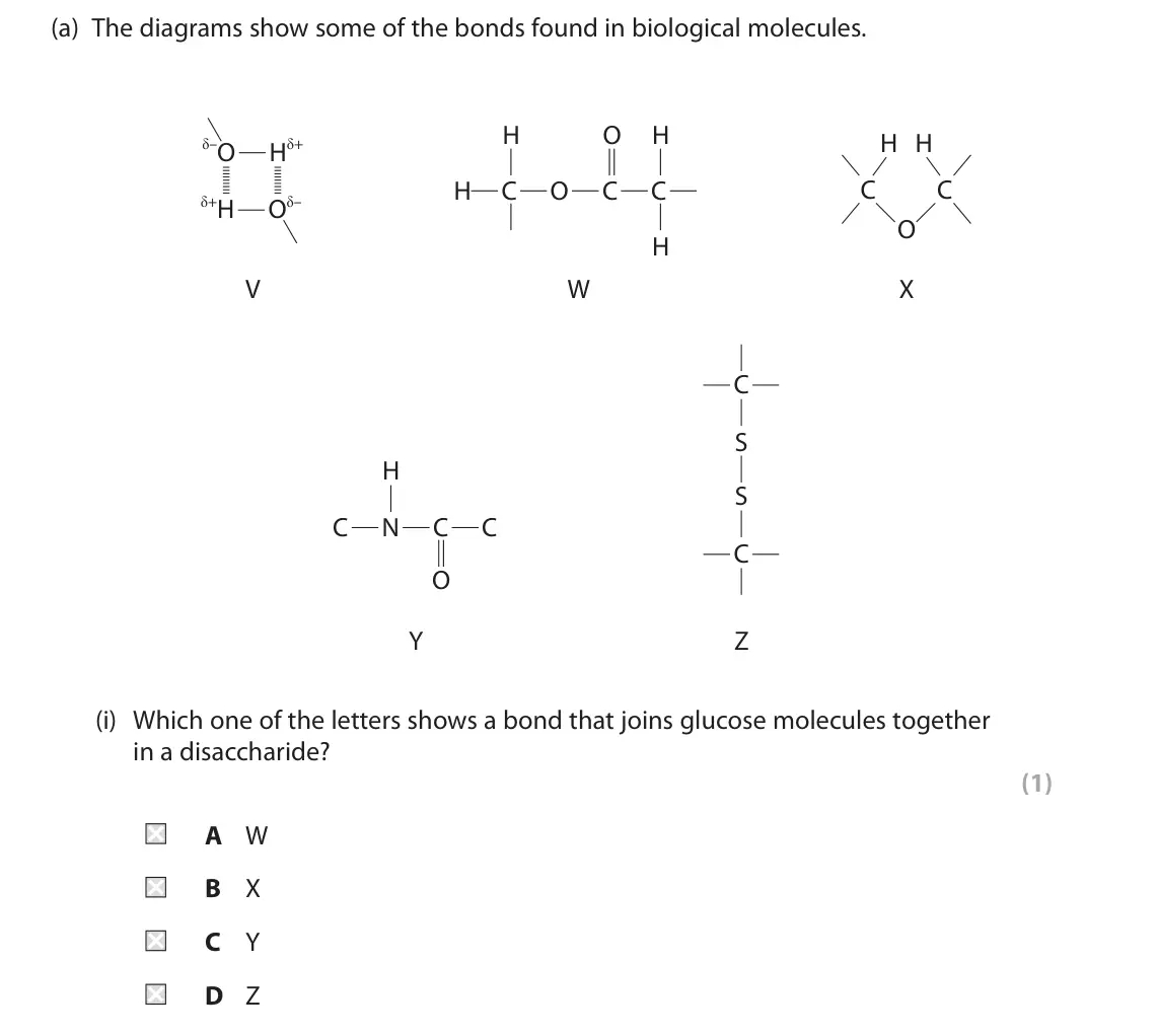 June 2023 Paper 2, question 1(a)(i): Which one of the letters shows a bond that joins glucose molecules together in a disaccharide? (1) A W B X C Y D Z