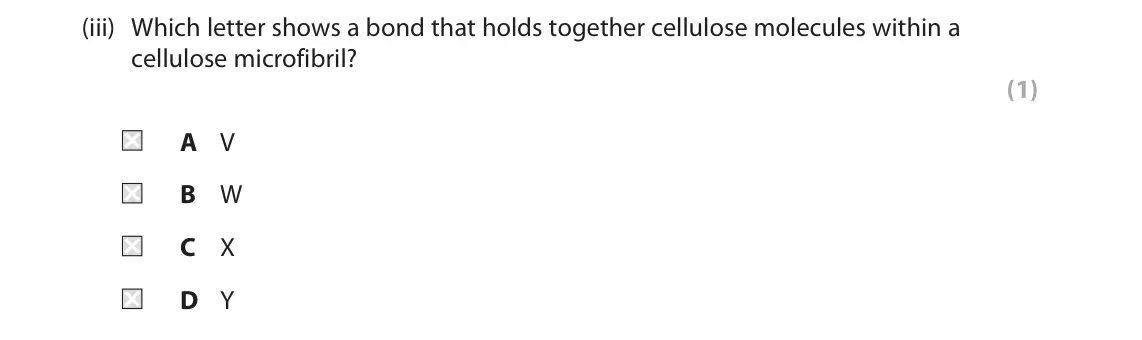 June 2023 Paper 2, question 1(a)(iii): Which letter shows a bond that holds together cellulose molecules within a cellulose microfibril? (1) A V B W C X D Y