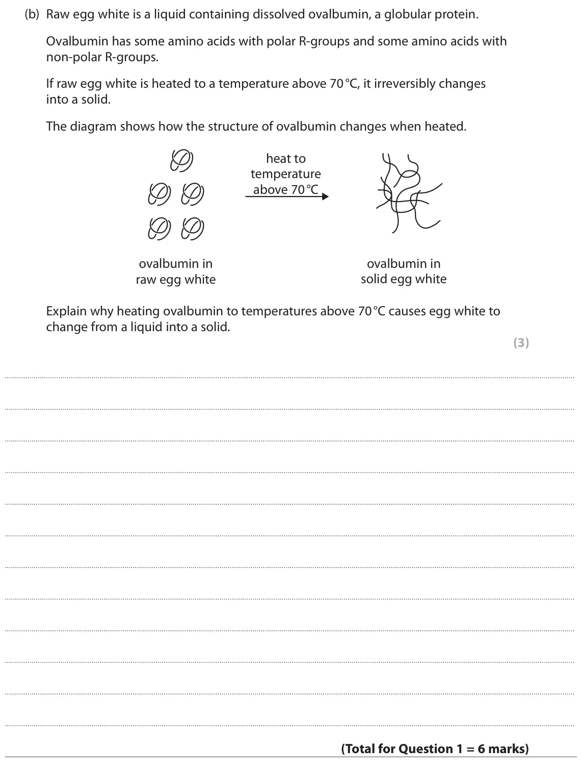 June 2023 Paper 2, question 1(b): Raw egg white is a liquid containing dissolved ovalbumin, a globular protein. Ovalbumin has some amino acids with polar R-groups and some amino acids with non‑p