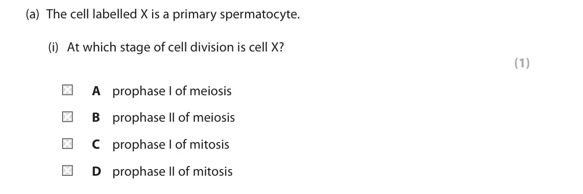 June 2023 Paper 2, question 3(a)(i): At which stage of cell division is cell X? (1) A prophase I of meiosis B prophase II of meiosis C prophase I of mitosis D prophase II of mitosis