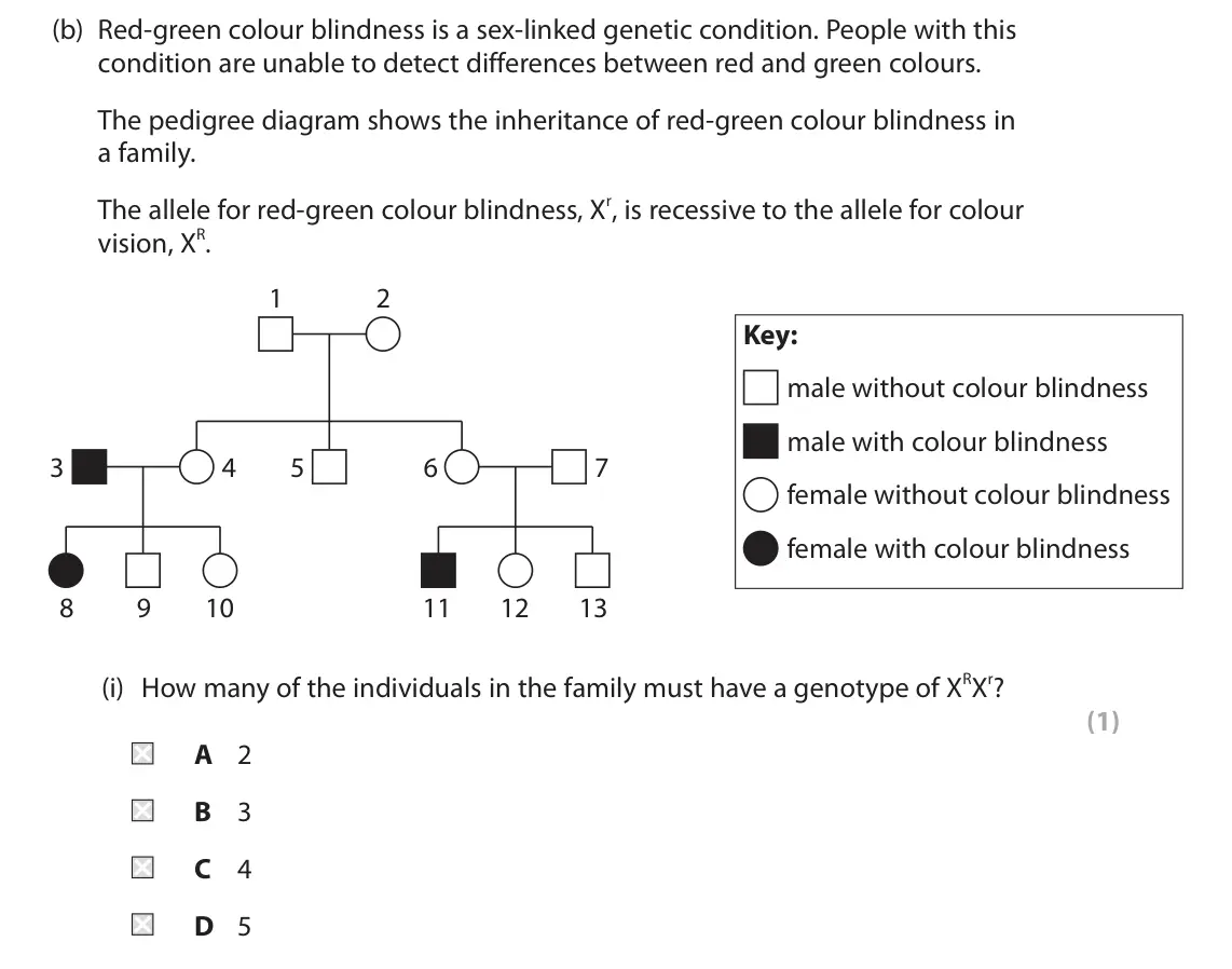 June 2023 Paper 2, question 5(b)(i): How many of the individuals in the family must have a genotype of XRXr? (1) A 2 B 3 C 4 D 5