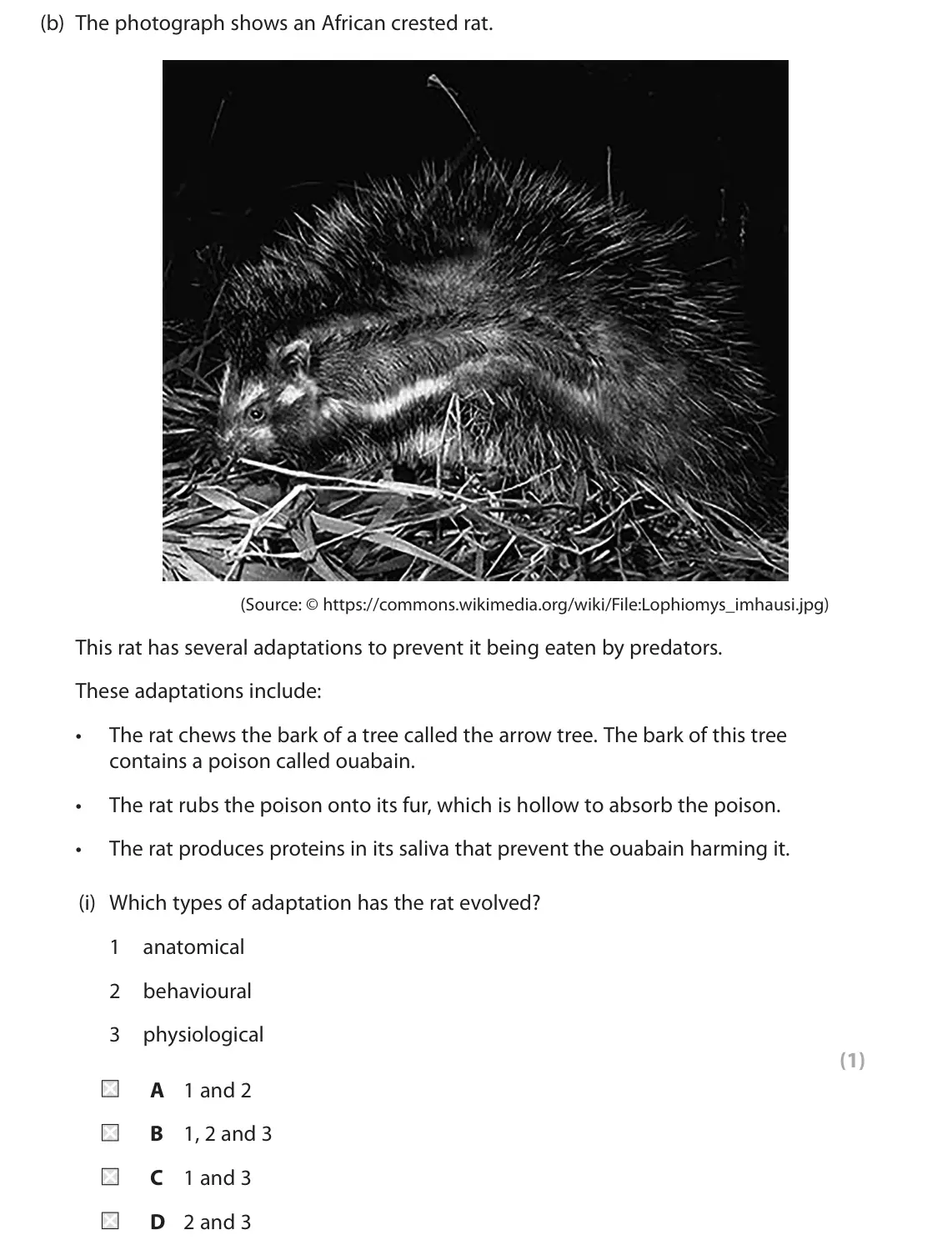 June 2023 Paper 2, question 6(b)(i): Which types of adaptation has the rat evolved? 1 anatomical 2 behavioural 3 physiological (1) A 1 and 2 B 1, 2 and 3 C 1 and 3 D 2 and 3