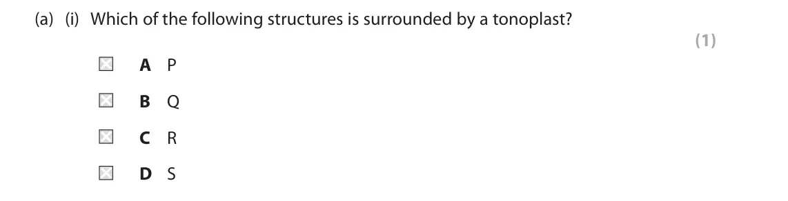 June 2024 Paper 2, question 1(a)(i): Which of the following structures is surrounded by a tonoplast? (1) A P B Q C R D S